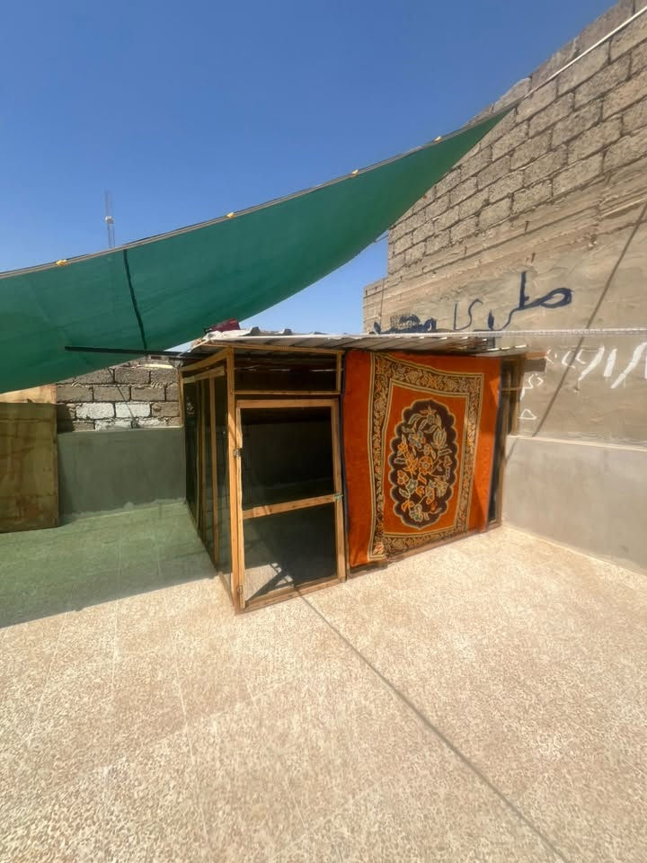 السلام عليكم قفص للبيع يصير للدجاج وللطيور مع الچينكو القفص ماصارلي شي من شديتو يعني بعدو جديد والجادر هم للبيع الشراي يجي خاص او ***********ويدلل
