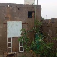 حي جوادين • نص زراعي • ٢٥٥م