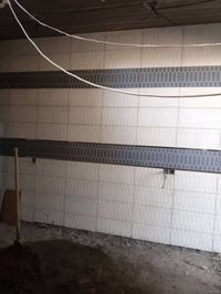 خلفه مصري بالاعظميه متفرغ 07765303769