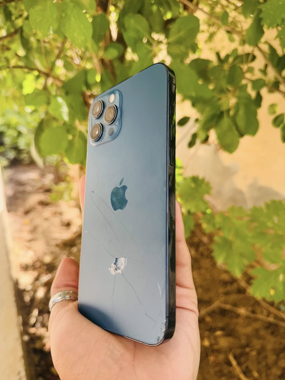 للبيع او مراوس 

ايفون 12 برو ماكس ذاكره 256 بطاريه 92 جهاز مكفول فقط فيس ايدي يعلك مرات يتشغل مرات لا وضهر واضح كدامكم مكاني كربلاء شراي تفضل خاص


**إذا كنت صاحب هذا الإعلان وتريد حذفه لأي سبب، رجاءا أرسل رسالة إلى الدعم الفني**