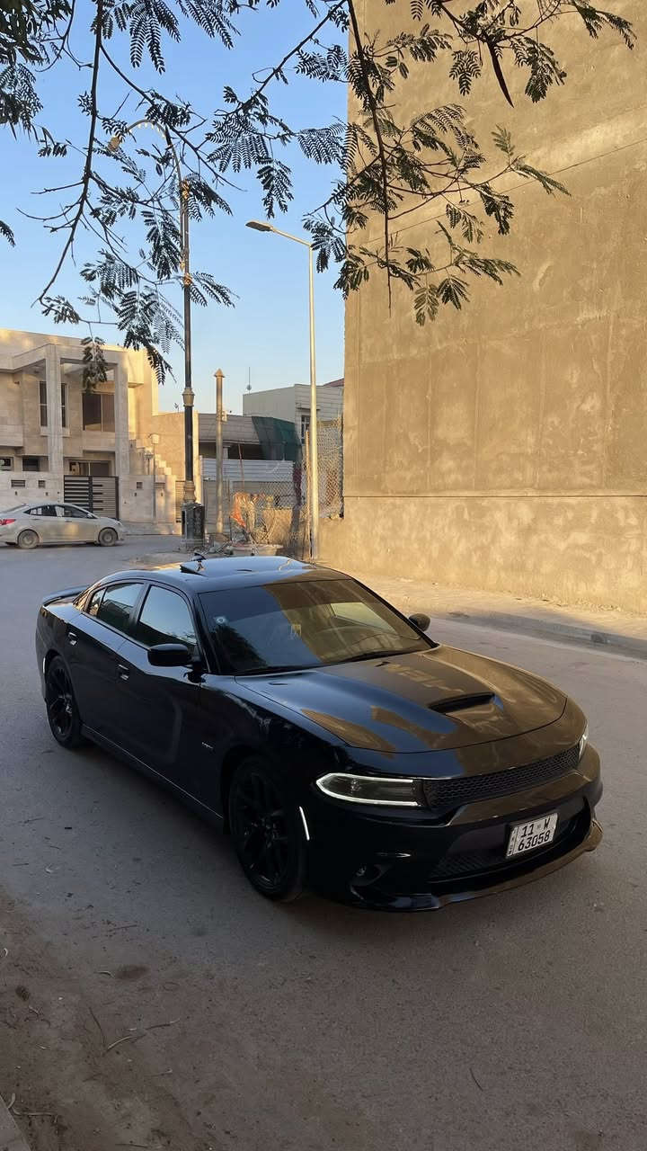 للبيع فقط جارجر RT بلاس 2019
فول مواصفات فتحه كشنات كنتاره حضن بلاد تبريد وتدفئه كشنات كشنات كهرباء 2 دشبول و ابطاين اخياط بلاد رادارت جانبيه شاشه كار بلي جبيره مع كامره شفتات استيرن مري تعتيم مري قلاب مع البك سوبر تراك باك هيتر مري جانبي استيرن كهرباء استيرن تدفئه ذاكره ميموري تشغيل عن بعد سستم سماعات بيتس لايت زنون اصلي  تحديد مسار نقطه عمياء دبات سود بلاد ويل 20 اصلي 
وباقي لمواصفات لمعروفه 
ماشيه 58 mi 
عليه برمجه سيفتي وتفريغ وولف ريسنك 
ضربته فقط بنيد صبغ وباقي مكفول من صبغ و تبديل وجاملغ عكس سايق بي بارد فقط ايرباك طاك استيرن ودشبول وراجع  
محرك كير اكسل بلاد ع وضع لشركه ممفتوح منهن شي 
تايرات تخم جديد و عبوه فيتبم كامله و باتري ومنضومة تبريد كامله جديده 
رقم بغداد بسمي الجديد  تجي تشوفه وتحوله بسمك بنفس ليوم 
السعر 223 ورقه وبي مجال ع كد جيتك مكانه كوت 
 ***********
