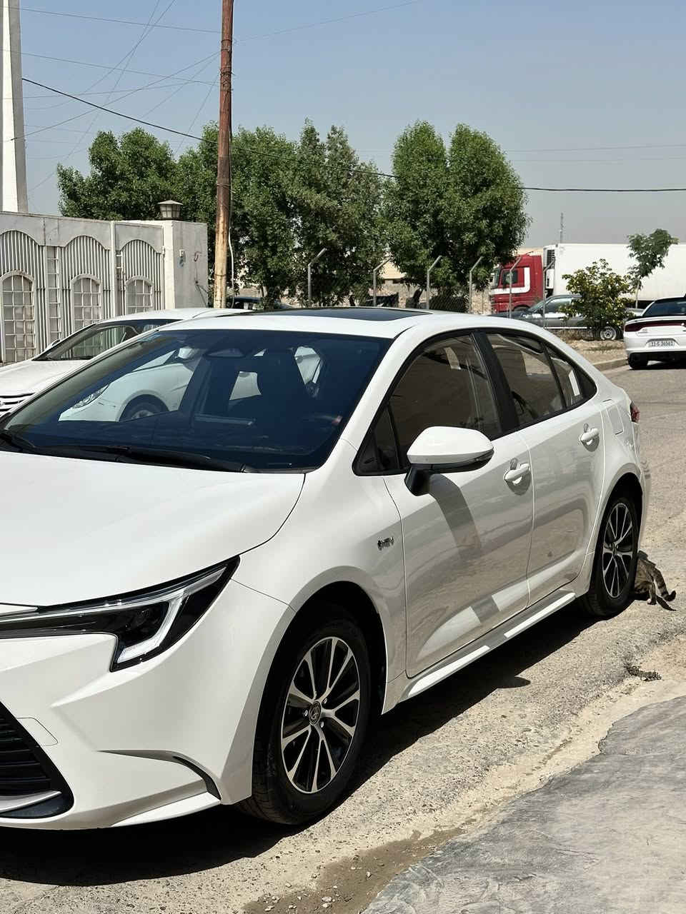 للبيع | كورلا هايبرد 2025 خليجي
شكل ألامريكي

✅ زيرو ماشية — فقط 3895 KM
✅ السيارة بحالة الوكالة
✅ فول مواصفات
✅ فتحة سقف
✅ كاميرا 360 (دوراه)
✅ حساسات أمامية وخلفية
✅ بصمة وتشغيل ذكي
✅ مكفولة كفالة عامة
✅شاشة بلادية كبيرة

السعر 157$ وبي مجال

العنوان بغداد - الدورة شارع 60 

+964 772 106 7335
