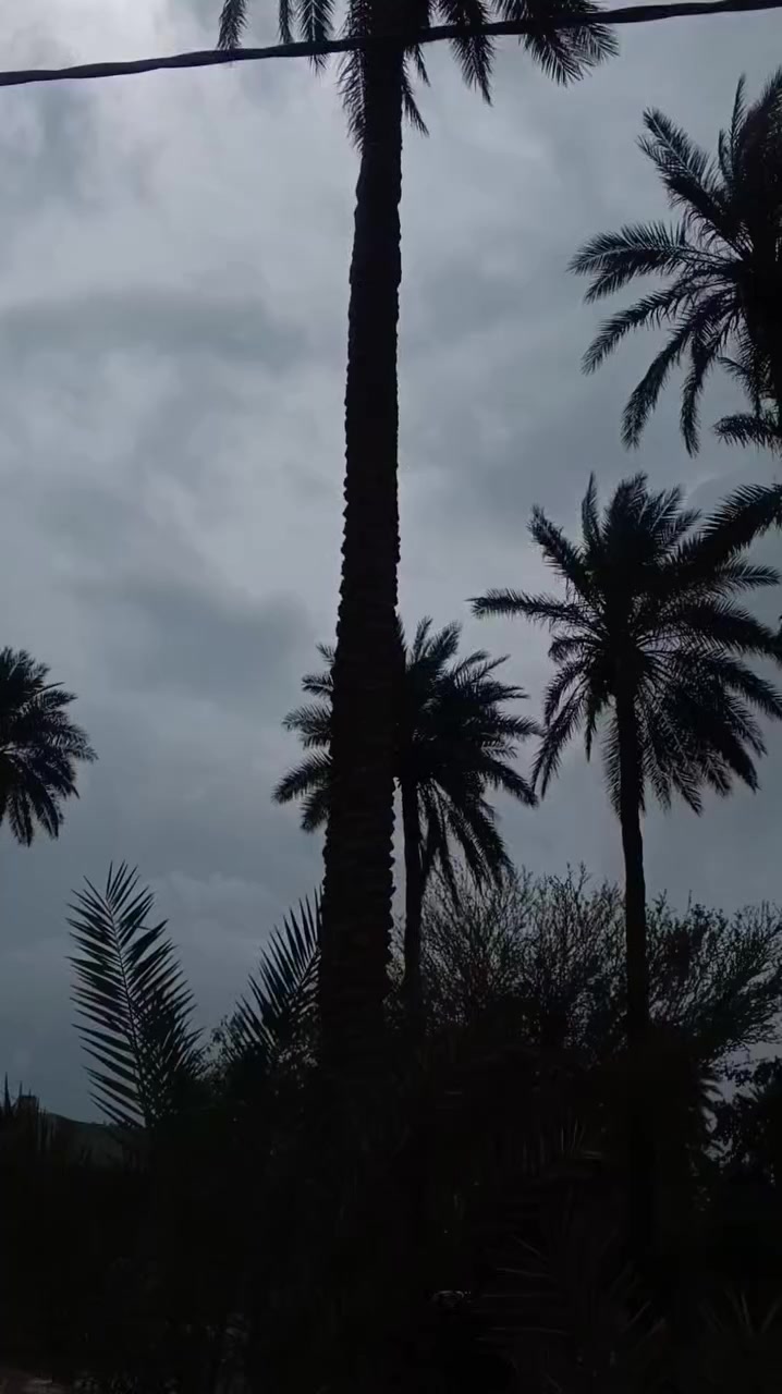 سلام عليكم شباب ستوته جمره للبيع موديل 23 مكينه 24 نضيفه اوراق اصولي ستوته اححلا من الصور السعر 1950 وبيه مجال مكان طويريج الخيرات الرقم ***********
