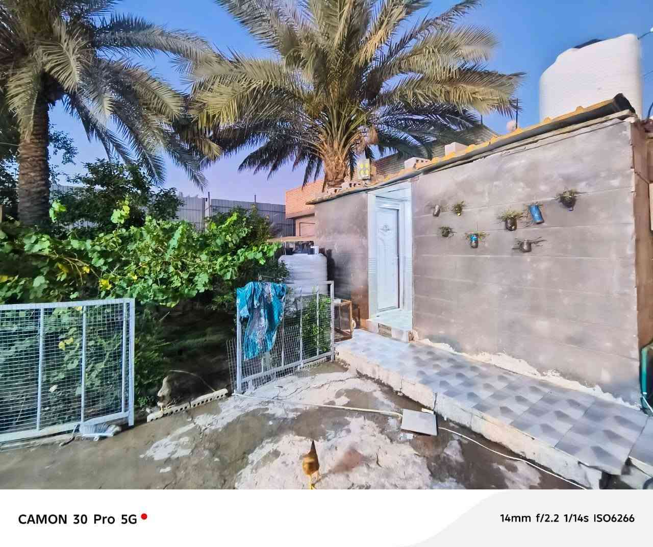سلام عليكم مكلف بالنشر تريد البيت اتصل على الرقم بيت للبيع طريق كربلاء بغداد عمود 50وتنزل مسافه كيلوين عن شارع العام مساحه 375متر سند 25اقرار بسمك بي بيتين كبار وساحه جبيره تريده اتصل وفتهم من صاحب البيت ‏‪***********‬‏ كربلاء, العراق
