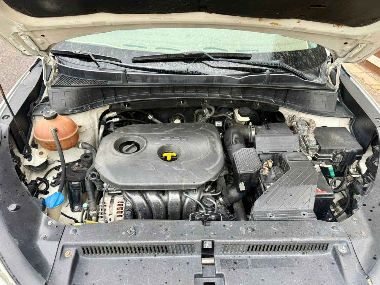 توسان 2016
وارد امريكي حادث جاملغ الايسر وبيهة قطعتين صبغ

مكينه 2000
مكينه كير مكفولات 
تبريد ثلج 
كشنات كهرباء +تدفئه تبريد 
شاشه كامره
تخم تاير 
صدر جديد 
رقم بغداد انكليزي تحويل ثاني يوم
عنوان بغداد شارع فلسطين 
معروضه 137
***********
