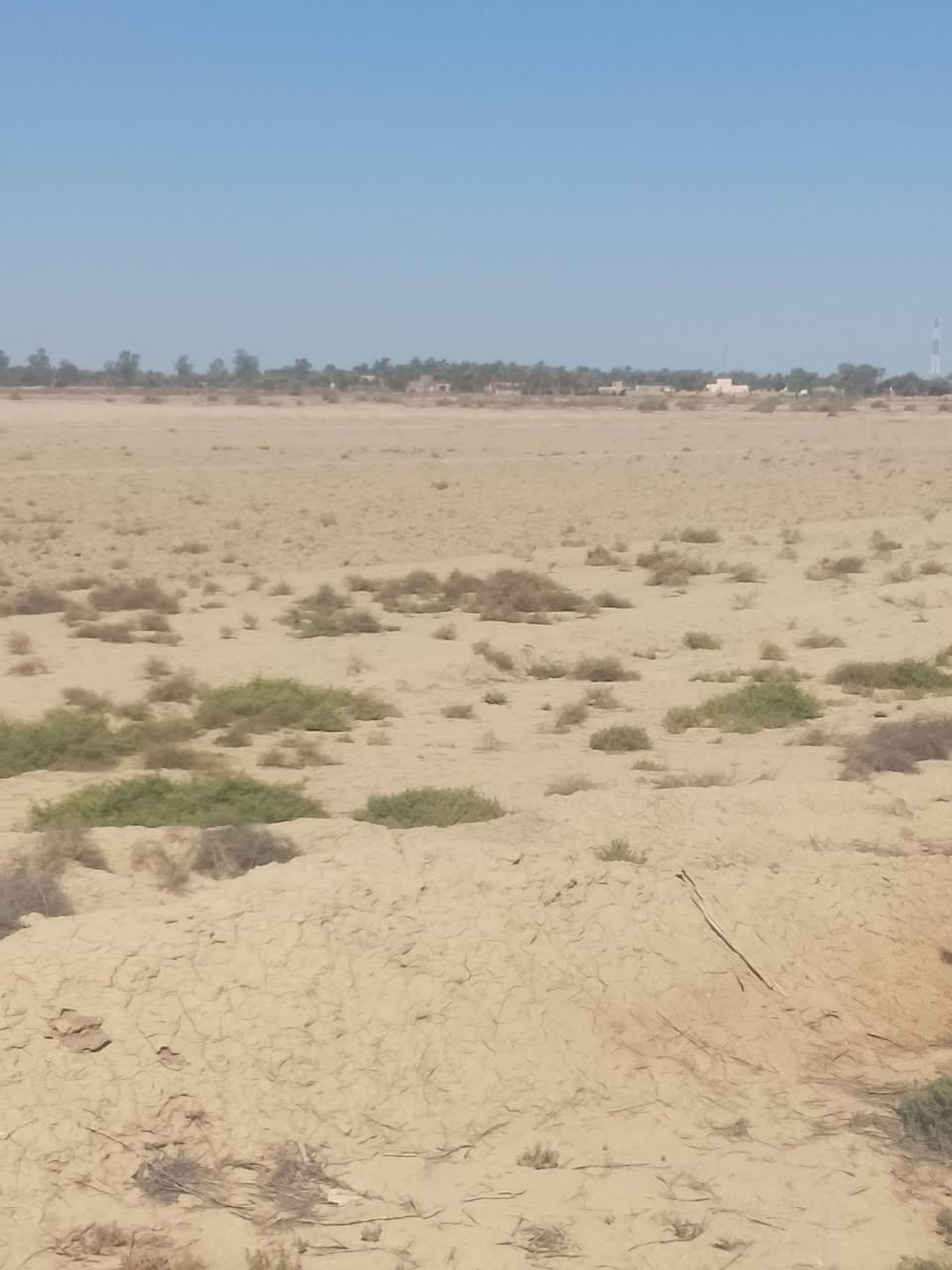 أرض زراعية للبيع مساحه 200دونم طابو زراعي سند 25مستقل إفراغ تام باسم المشتري مكان الارض ناحيه الطليعه قرب الشارع العام حله ديوانيه للاتصال أو الاستفسار ***********
