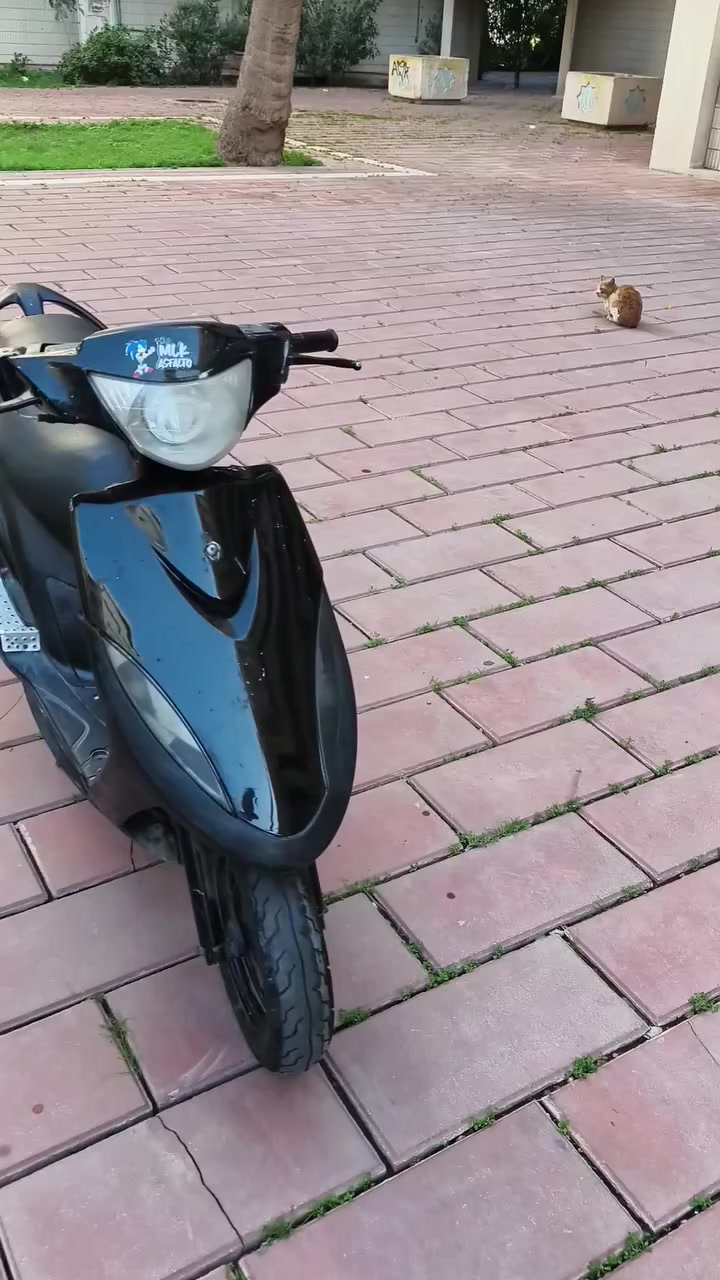 ماكس  عدله  نضيفه  سلف  هندر  مطينه مكفوله  من  صرف  وتبخثر  وتنقيص دراجه    كلش  نضيفه كامله مكمله  سعر  ٤٢٥الف  وبيه  مجال  بصيط  كلش  مكامي  العلاوي بغداد ***********
