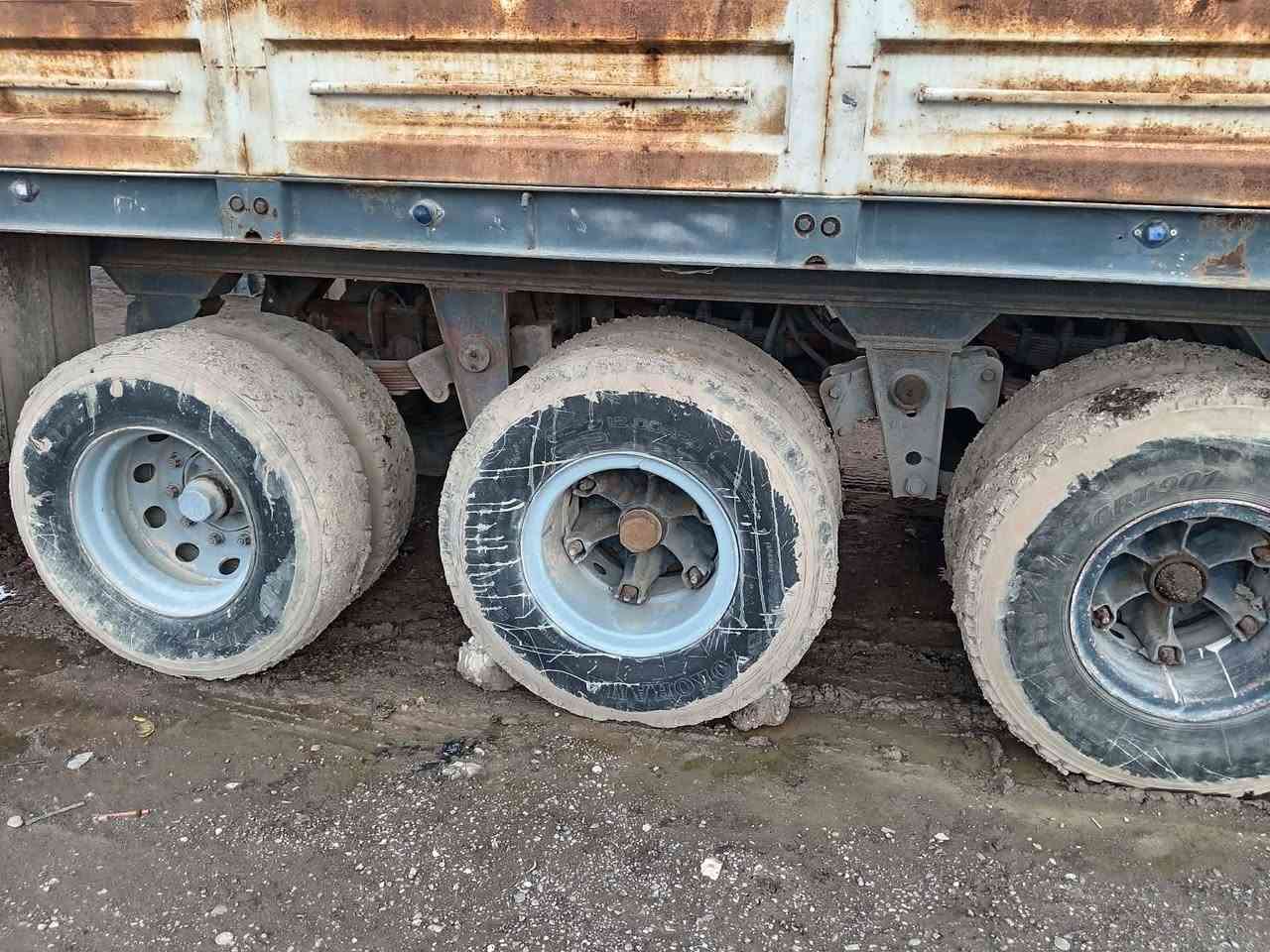 عربانه فصال رمادي
12:30 الطول ارتفاع 85 ارتفاع 
***********
