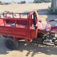 النجف الاشرف • MTR 2012 • لحيم بالركبة