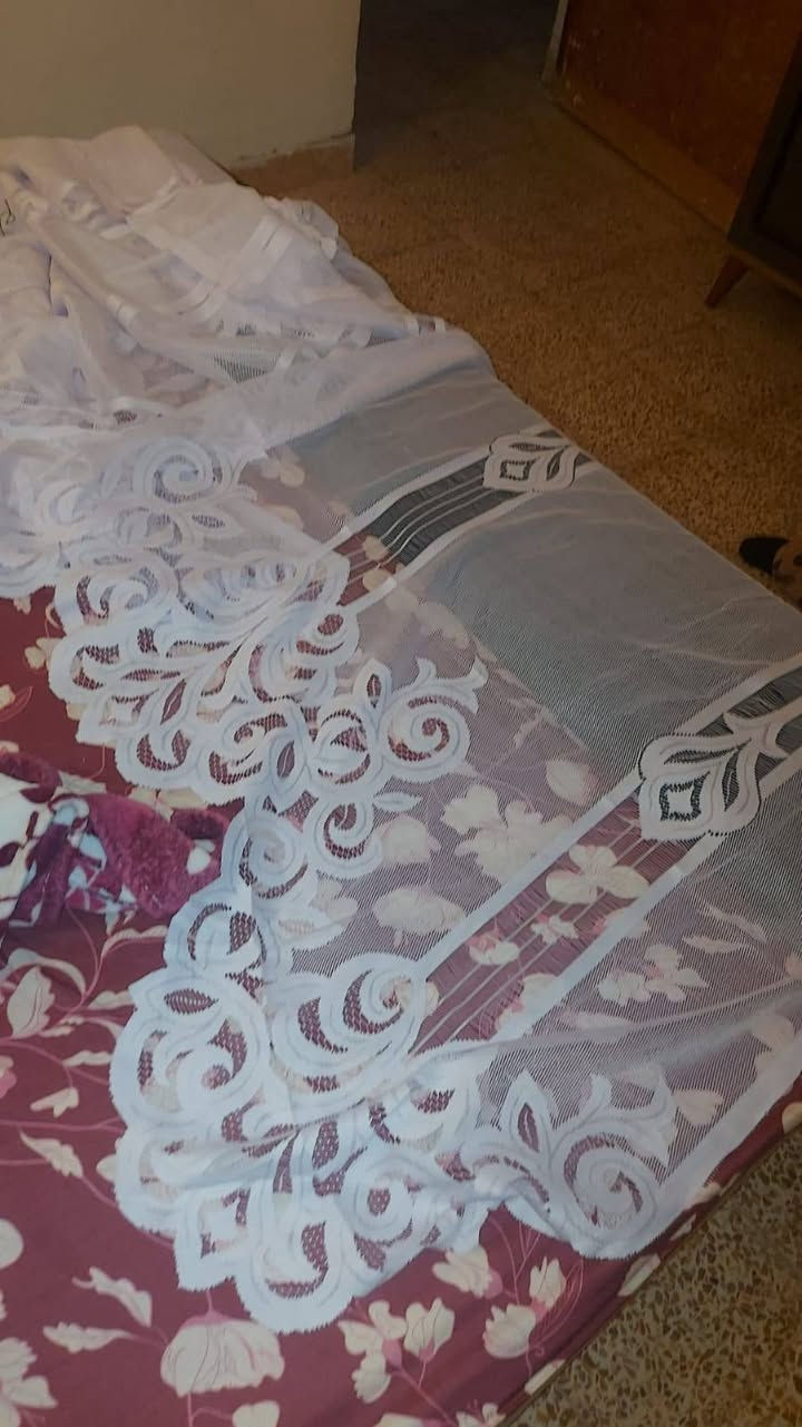 كوشات تخم عدد 5 ب12الف
تور 3امتار العراض 3امتار الطول ب10 آلاف 
مفرش ديوان 7 أمتار ب8الاف 
مفرش تخم غير نقشه همين ب7امتار ب8الاف 
نضيفات شراي خاص


**إذا كنت صاحب هذا الإعلان وتريد حذفه لأي سبب، رجاءا أرسل رسالة إلى الدعم الفني**