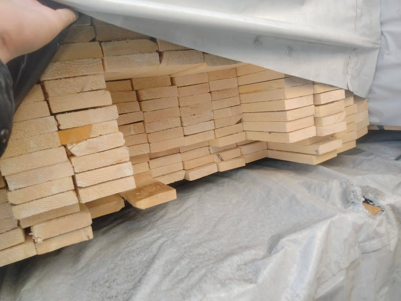25/100

ميتسا 

شالبورد 
نمره 1
للتواصل واتساب او فون /01109206289


**إذا كنت صاحب هذا الإعلان وتريد حذفه لأي سبب، رجاءا أرسل رسالة إلى الدعم الفني**
