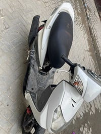 سكنس فحل للبيع دراجه مكينه كفاله كشر كبالكم كفاله من السرقه المكان بغد...