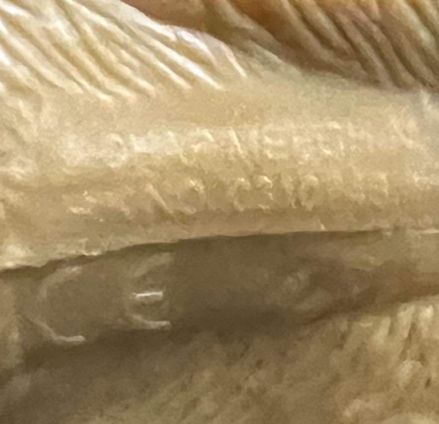 مجموعة اسود اصلية ومختومة  السعر 15 الف 
توصيل بغداد 5 الاف


**إذا كنت صاحب هذا الإعلان وتريد حذفه لأي سبب، رجاءا أرسل رسالة إلى الدعم الفني**