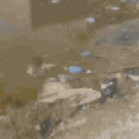 السديناويه • ٢٠٠م • ركن شارعين