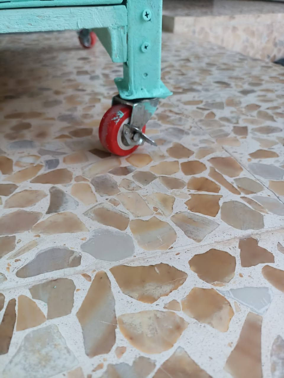 متاح قفص جديد مكلف بالنشر 
***********
