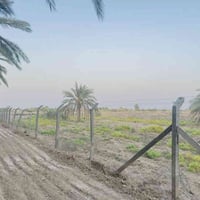 واسط طريق كوت موفقيه • ١٥ دونم • طابو زراعي