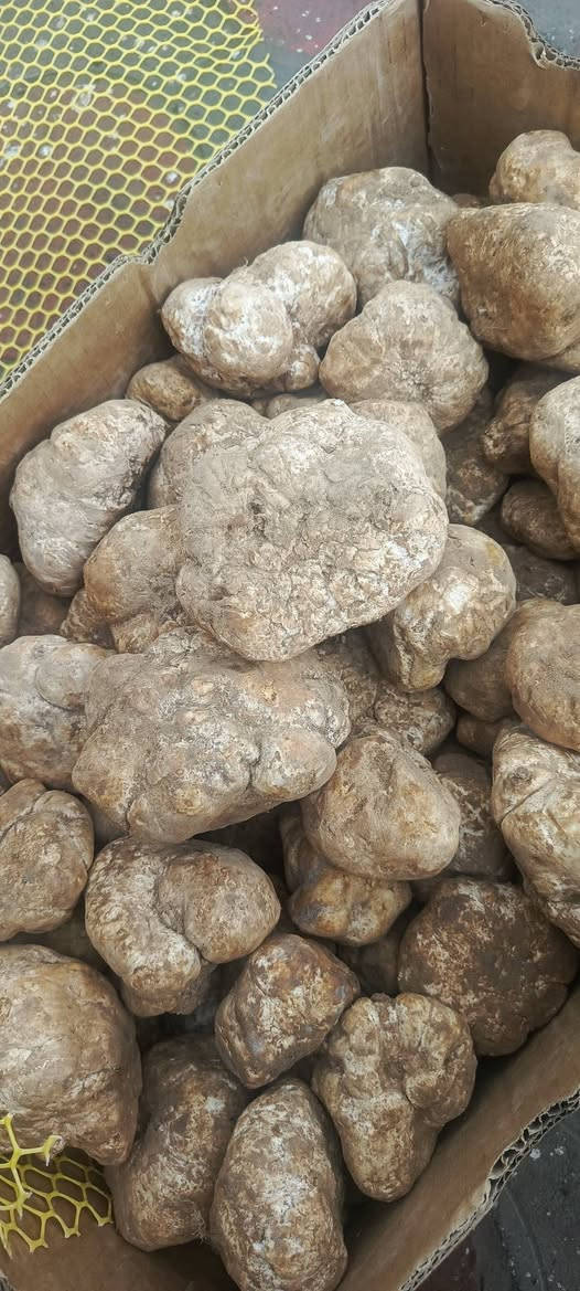 يتوفر كما
زبيدي + حرك 
أبيض + أحمر 
كلو خشن جمه رقم 1 
العنوان صلاح الدين تكريت 
شارع الأربعين قرب جامع صدام 
للاستفسار اتصل 🗣📲📞 
***********
***********وات ساب 
يوجد خدمه توصيل 📮
