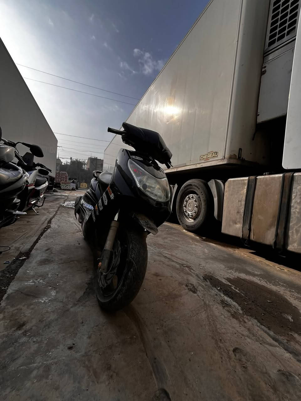 سكنس فحل نوزل مزوده
صدر امامي 
دبلات خلفيه
كلجات 
صالنصه مختلفه
مكينه رياضيه
شوفتً عينك نضافه شرط شلعه ومعدل سعر واحد و١٠٠بيه مجال مكاني بنوك ستفسار ***********
