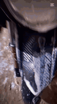 سكنس جبلي ياباني • ما ناقصها • بعقوبه التحرير