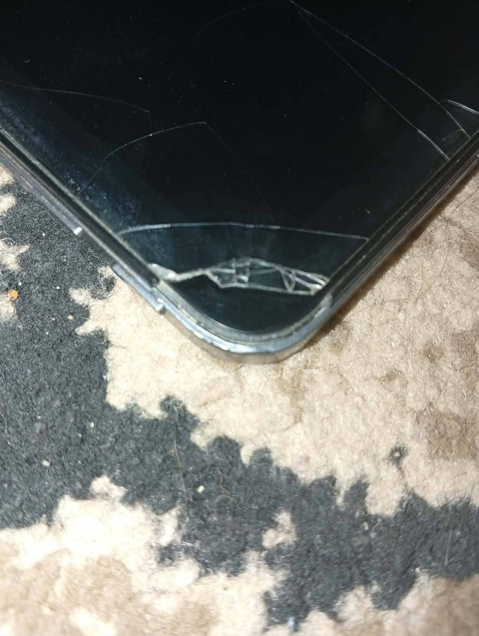 اسلام عليكم  شبايب  عندي  ايباد انفنكس تاب ايباد كلشيي مابي بس ل اطرف واكعات تكدر اتح
مكاني ديالى بعقوبة كاطون الرازي  يم يرطابت ل بلور بل اخير عل حولي ثالث فرع ايباد كلشي مابي شغال شاشة ما بدلة بطارية فول 85 سعرة 190 قفلة قفلة قفلة لي يريدة خلي يجي عل مازنجر دزلي طلب اني اوافق


**إذا كنت صاحب هذا الإعلان وتريد حذفه لأي سبب، رجاءا أرسل رسالة إلى الدعم الفني**