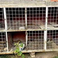 برج حديد قوي • ثمان خانات