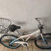 بايسكل • حجم ٢٤ • حالة جيدة