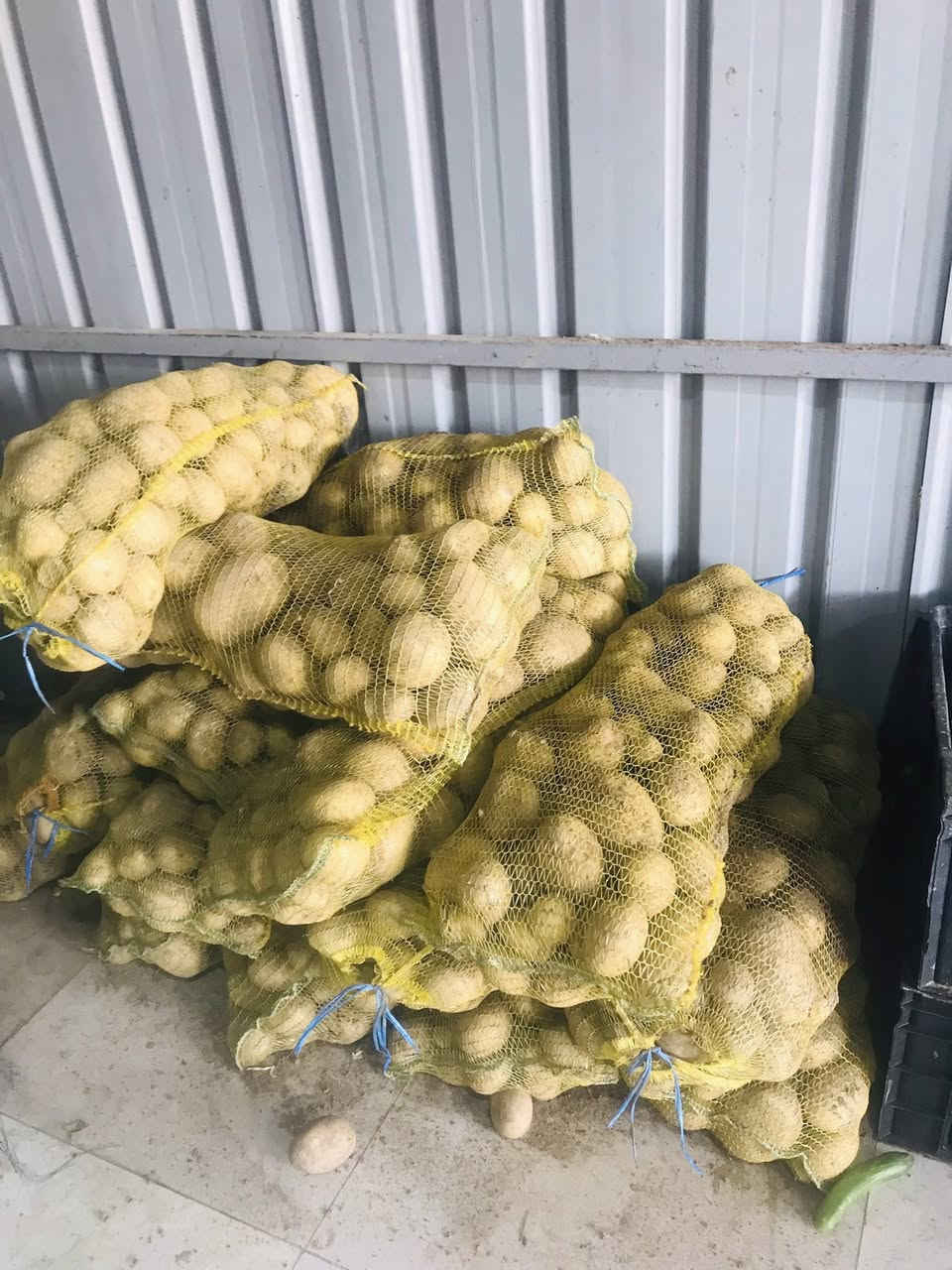 ماشالله بقاله الديوم الاولى مسواك يوم الاثنين 
يم ملعب الديوم  يوجد خدمات توصيل اتصال على رقم ***********
