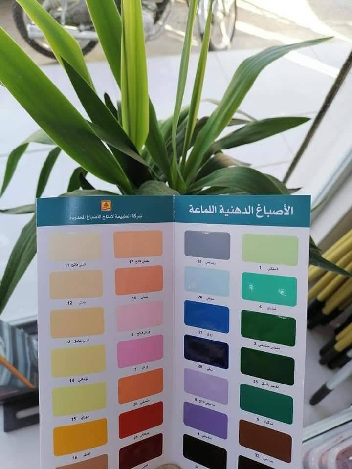 سلام عليكم  .
أصباغ وعمل الأرضيات بوركيه تركي .
ديكورات. اتصل وادلل  ***********
