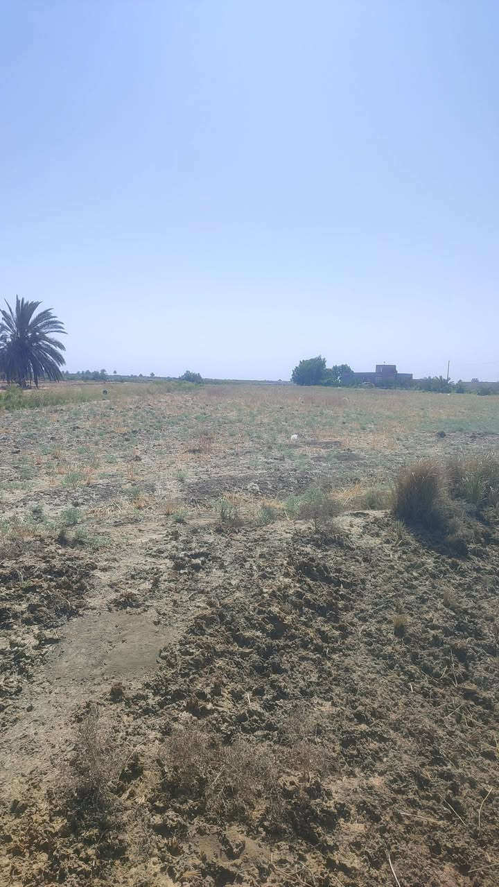 أرض زراعية للبيع على طريق السنية السياحي 
مساحه الارض  4دوانم وربع سند 25 يجود كافة الخدمات  من ماء وكهرباء.. واجه الأرض 90متر ونزال 120
قريبه عن قضاء السنية @ تنباع نص. أوكل الأرض. 
الاستفسار..***********
