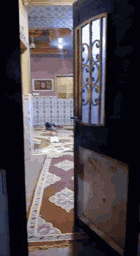 السلام عليكم بيت للبيع كرمه علي منطقة ابو حلوه قرب شارع سعر خاص***********
