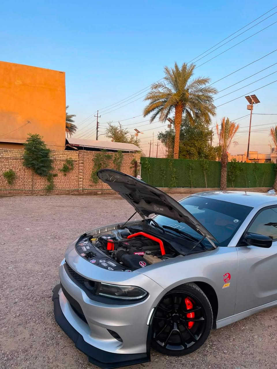 #أنسب_دودج_سكات_باك_2021 ‼️

✘ 𝐃𝐎𝐃𝐆𝐄 𝐂𝐇𝐀𝐑𝐆𝐄𝐑 ⟡ 𝐒𝐂𝐀𝐓 𝐏𝐀𝐂𝐊 ⟡ ✘
الموديل : [ 𝟐𝟎𝟐𝟏 ]
المحرك : [ V8 / 6.4 ] 🐝
الگير : [ أوتوماتيك ] 
الممشى : [ 26 الف ميل ]
اللون : [ فضي - سلڤـر ] 🛸
الحالة : [ السيـارة وارد أمريكـا ضررهـا جاملـغ وبنيـد الجاملـغ مبدل ومصبوغ والبنيـد محدث Red eye ]

[ لمعرفة السعر اترك تعليق داخل المنشور وسوف يصل اليك مباشر عبر رسالة نصية ] 📥

[ الـــــمـــواصــفـــــات ]

- السيـارة فئة 𝐒𝐂𝐀𝐓 𝐏𝐀𝐂𝐊 ومواصفاتهـا المعـروفة

[ الاضـــــــافــــــاات ] 

- برمجـة فايليـن صيفي وشتوي ( أيكـل ) 🦅
- تفريغ + داون بايب سل ستيل 3 انج 
- ولف حماوة ريسنك 82 
- منظومة زينـون ( عالي + ناصي ) 
- أويـل كاج كان BULIT
- تخم تايرات + بطارية جديدة 
- ستريس بار موبـار
- دركـة ستيرن + شفتات Hellcat ( أصلي ) 
- أدامـة كاملة لغرفة الاحتراق 

الموقع : [ بغـداد / الكـرخ ] 📍

للتواصل واتس اب او اتصال : [ *********** ]

#dodge #charger #scat_pack #srt #yasser_erbil

