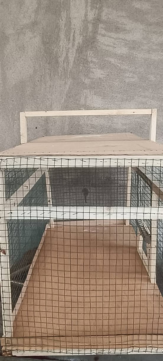 سلام علیکم قفز للبیع جدید مامستخدم سعرە12بیها مجال


**إذا كنت صاحب هذا الإعلان وتريد حذفه لأي سبب، رجاءا أرسل رسالة إلى الدعم الفني**