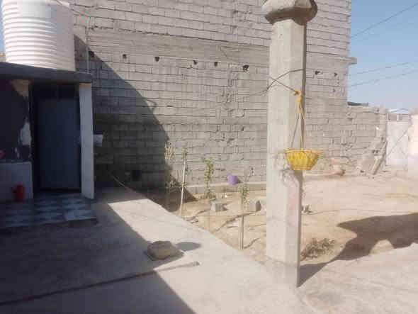 دار للبيع طابو زراعي سند 25
العنوان/ديالى بعقوبة دوره الباويه قرب المرور ديالى 
بيت يتكون من غرفتين واستقبال وصاله وحمام 2مطبخ2
Wc2 مساحة الدار 300م 

للاستفسار خاص او تصال ع رقم ***********
