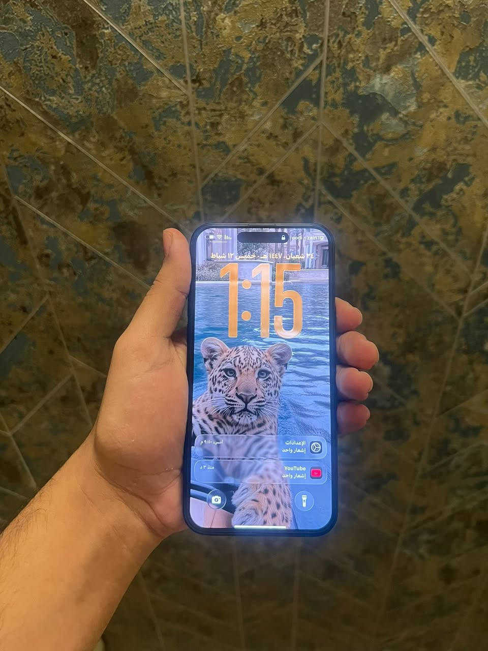 ايفون 15 بلص
جهاز جديد ضمانة يخلص بشهر الثامن
بطارية 100
عدد دورات 85 
ذاكرة 128
ماحقاتة كارتونة وكفر 
مكاني بغداد كرادة 
7838380538


**إذا كنت صاحب هذا الإعلان وتريد حذفه لأي سبب، رجاءا أرسل رسالة إلى الدعم الفني**