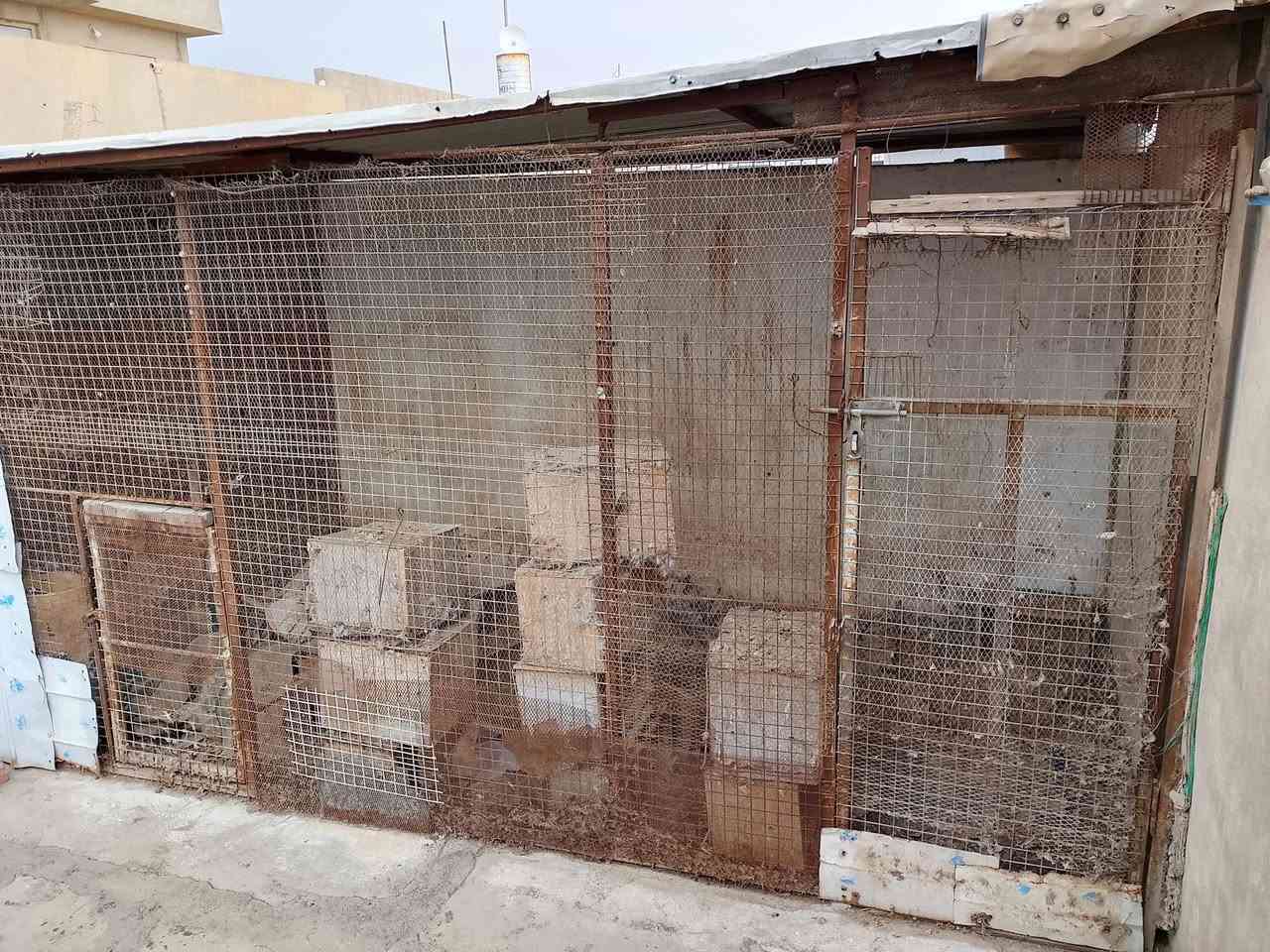 ققص للبيع ١٠٠الف وبي مجال


**إذا كنت صاحب هذا الإعلان وتريد حذفه لأي سبب، رجاءا أرسل رسالة إلى الدعم الفني**