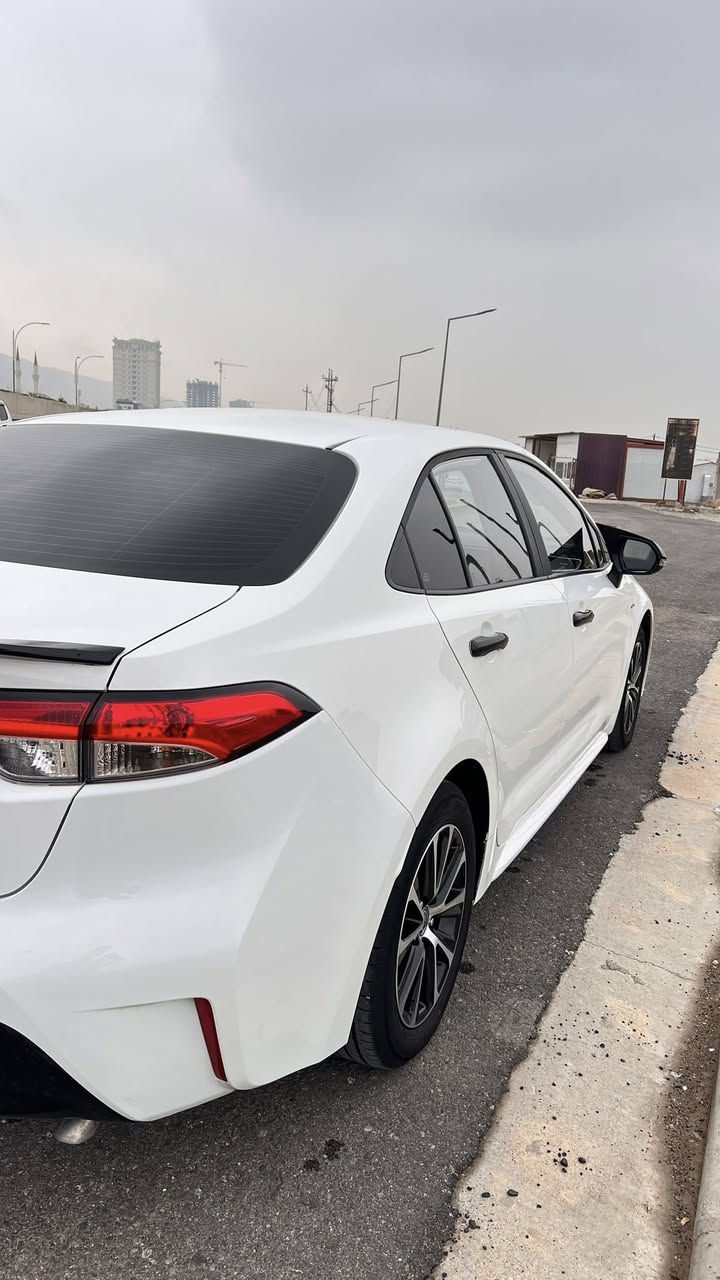 كرولا 2025 هايبريد شكل امريكي
18 هزارا ريفه جوي 
بێ دعم و صبغ هه مي تشت وصع شريكه 
رقم دهوك جاهز 
عنوان دهوك.
سعر 159 ورقه و مجال
. 
تلفون: ***********
