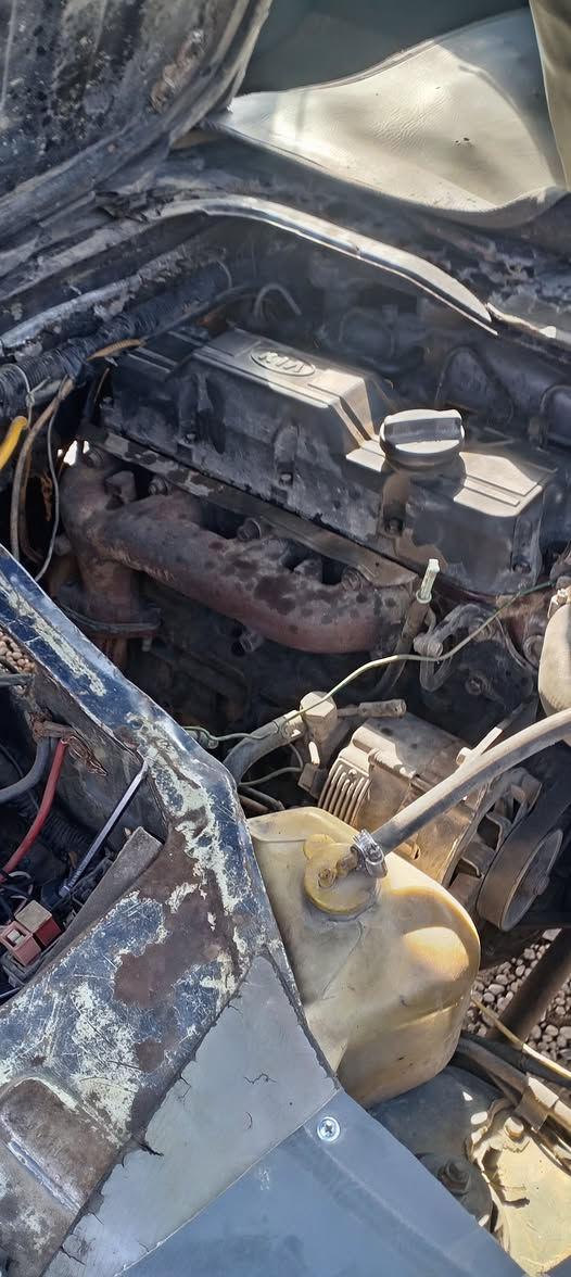 سلام عليكم بريجو للبيع 
رقم الماني ماندل راعيهة ابيع كوم حديد 

سعر 20 وبيهة مجال بصيط رقم *********** 

مكان فلوجة
