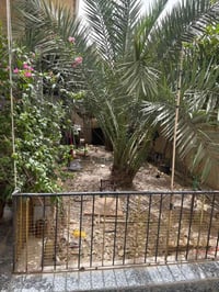الطويسه • ٣٣٧م • عمر ١٩٨٦