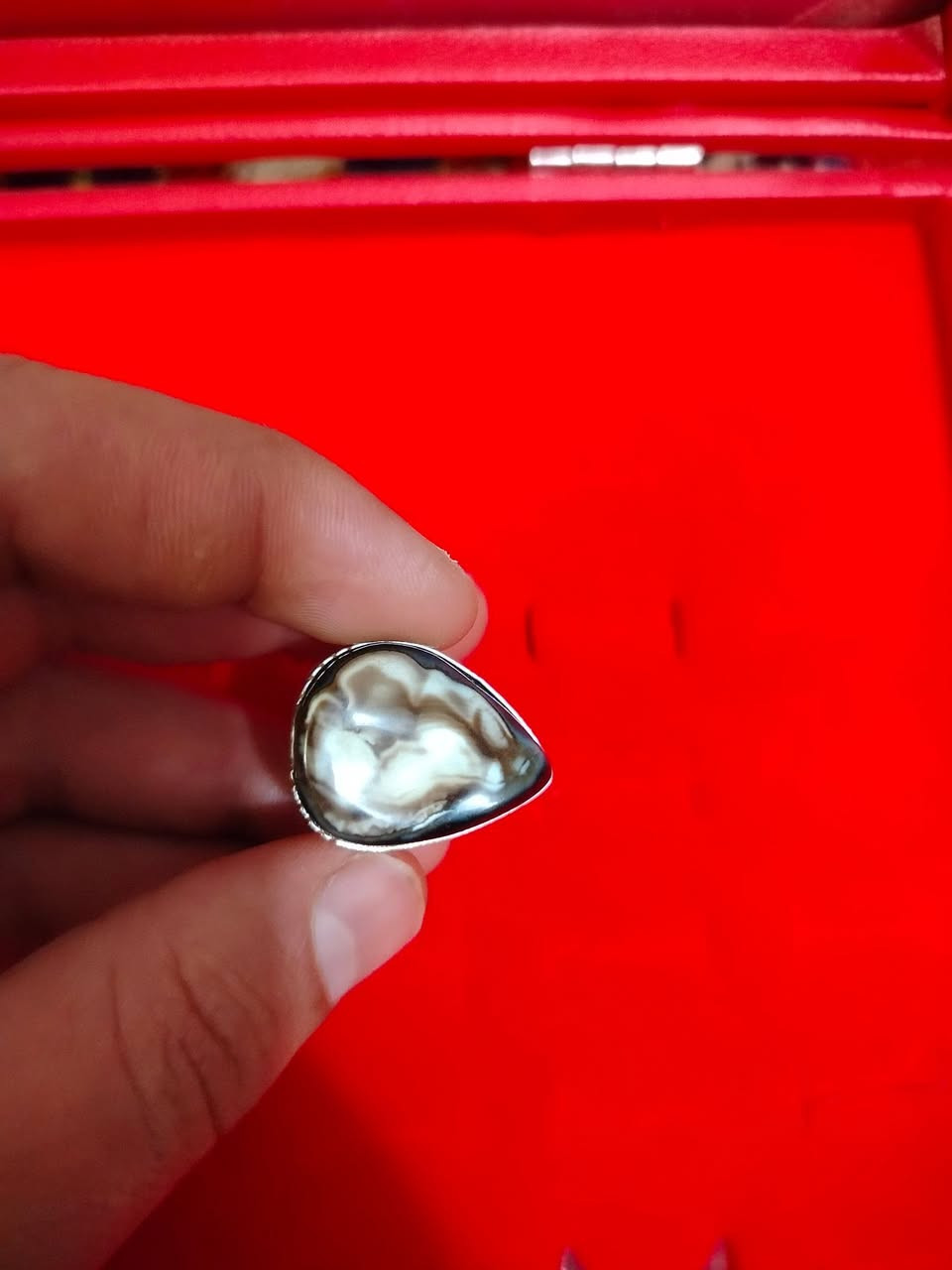 البيع داودي فضه عراقي سعر 30 تواصل خاص


**إذا كنت صاحب هذا الإعلان وتريد حذفه لأي سبب، رجاءا أرسل رسالة إلى الدعم الفني**