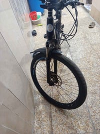 باسكل • نضيف • باب طوريج