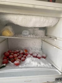 ثلاجه • شغالة ثلج • كربلاء الحر