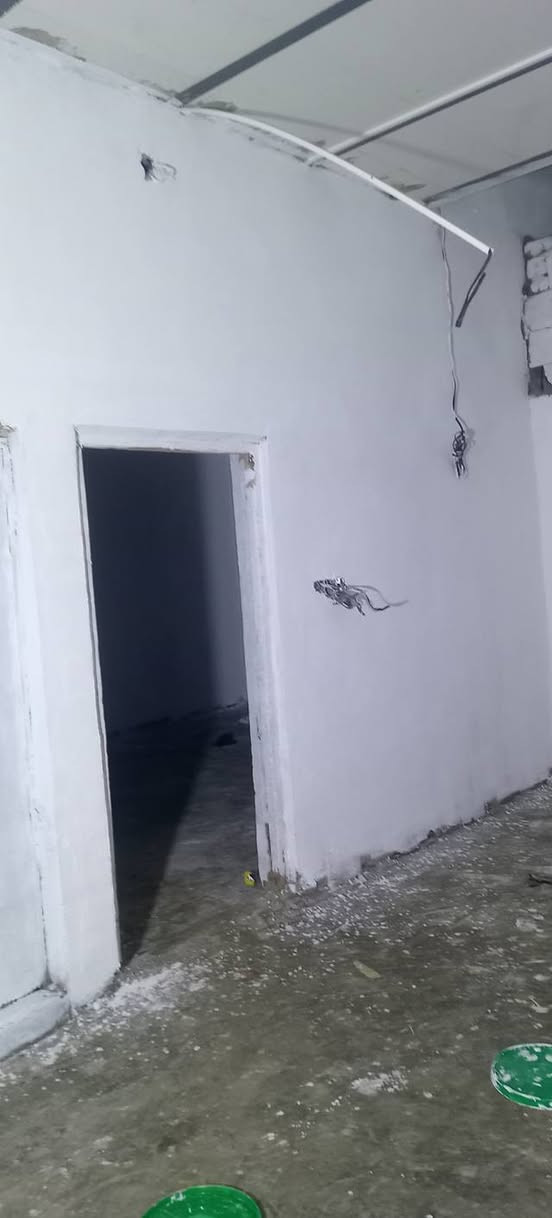 سلام عليكم صباغ جميع المنازل َوالوجهيات وجميع انواع الصبغ في محافضه ميسان جميع القضيه والنواحي الرقم تصال والستفسار ***********
