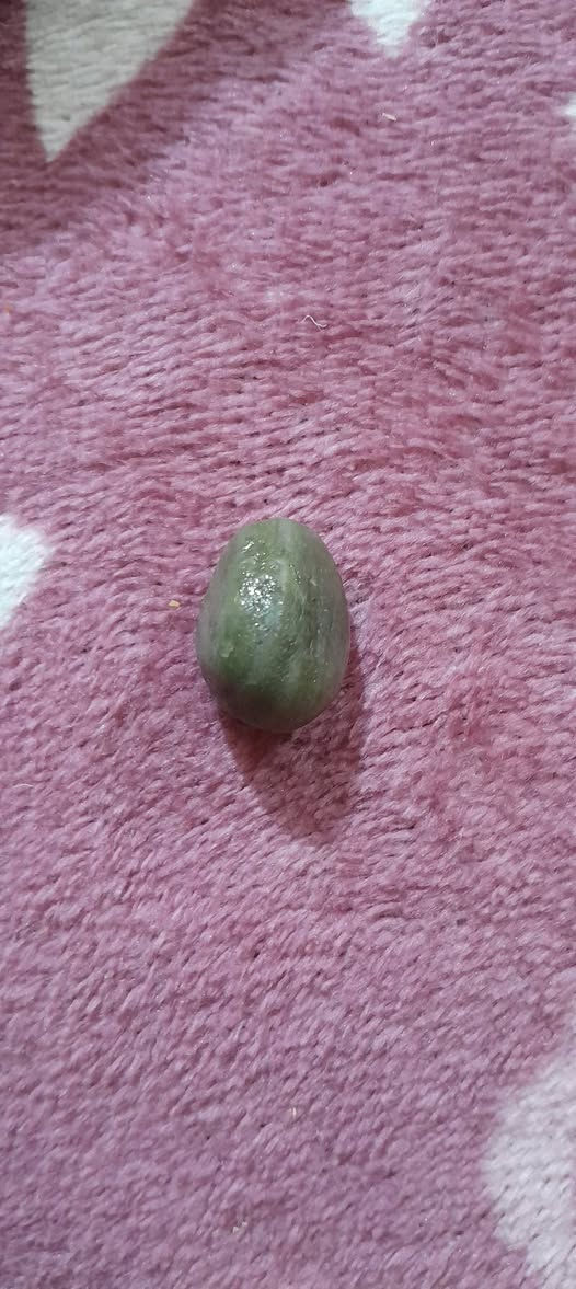 سلام عليكم حجار كريمه البيع العدد 9بيهن فيروز وعطفه وبيهن عقيق خام وبيهن مال ملكط سعر كلهن 25الف  ***********
