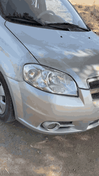 افيو ٢٠١٥ • سنوية نافذه • الديوانية