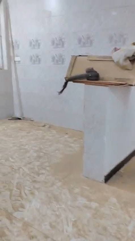 يا الله بيت للبيع في مجمع الزهراء السكني نجف 150 م سعر مناسب جدن مكان مميز رقم صاحب دار *********** واتساب
