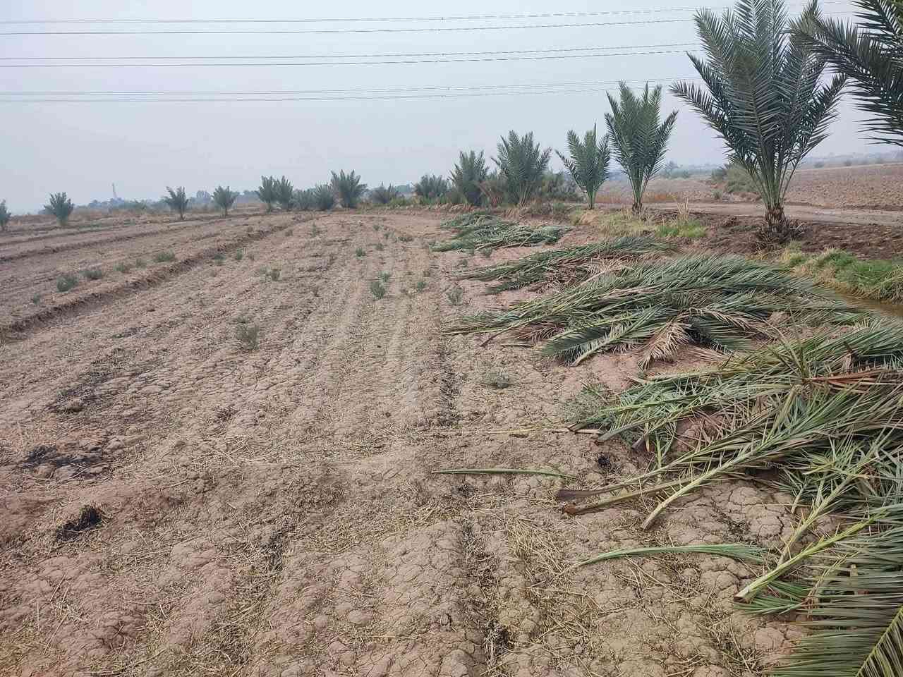 متوفر دوانم طابو سند 25 مخدومه 
سعر الدونم 25مليون
العنوان طريق حله نجف
للاستفسار ***********
