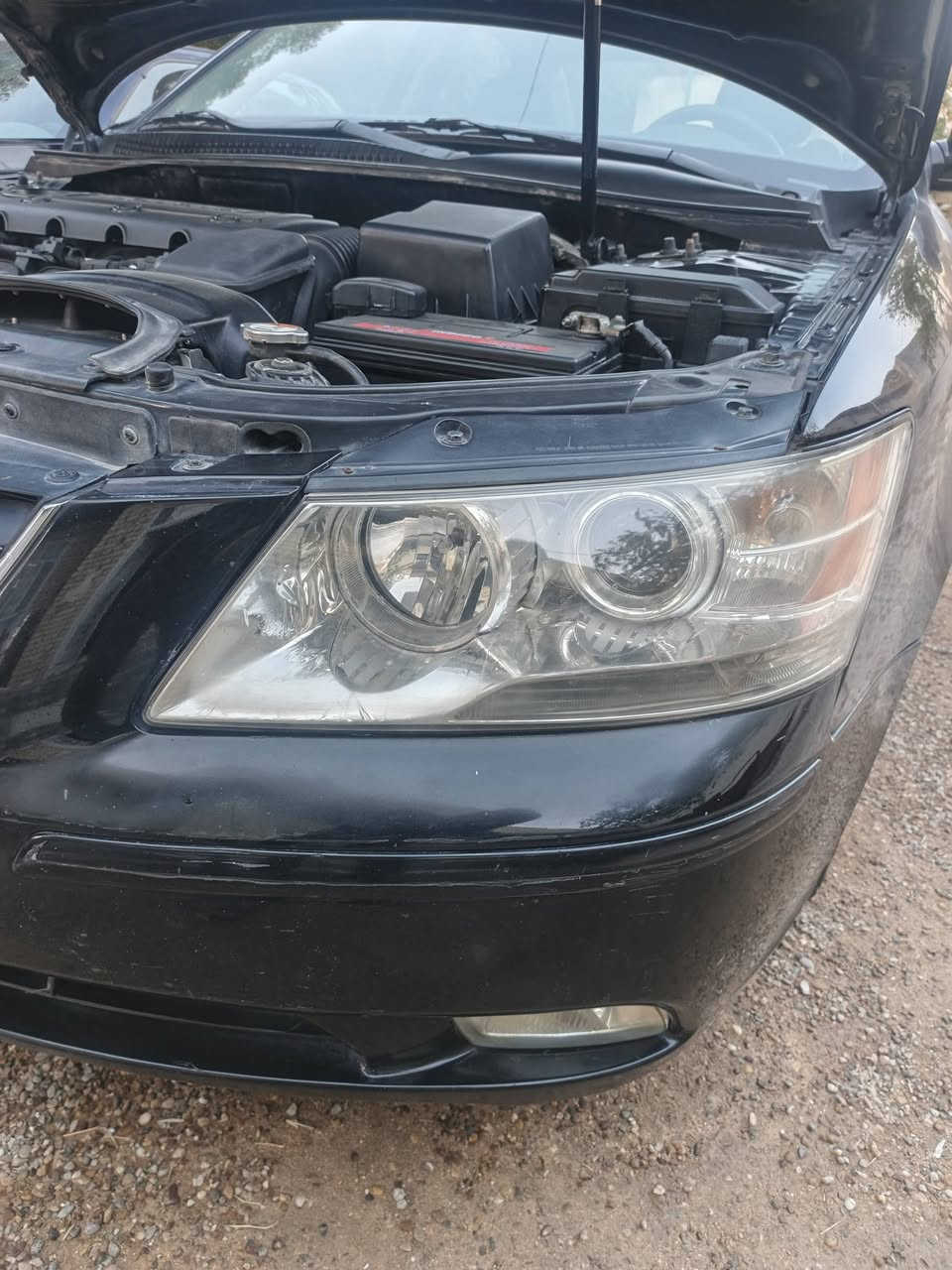 سوناتا ٢٠٠٩ مكفوله كفاله عامه من كلشي من صبغ من تبديل من حادث حته الدعاميات ليبل واحد محرك ٢٤٠٠ مكفول حداديه زيرو كير كهربائيات كلها ع البلاد تدفئه تبريد ماناقصها شي وسعرها سعر البيها حادث ١١٠ وبيها مجال قليل صدكوني احلا من صور شكلها لان جديده مال جناي صالها عندي ٨ سنوات ومداريها الي يعجبها يشتري يستاهلها والله يرزقه بيها تريد وكاله تريد مداور اني بالخدمه  مكانها النجف الكوفه للاتصال ‏‪***********‬‏
