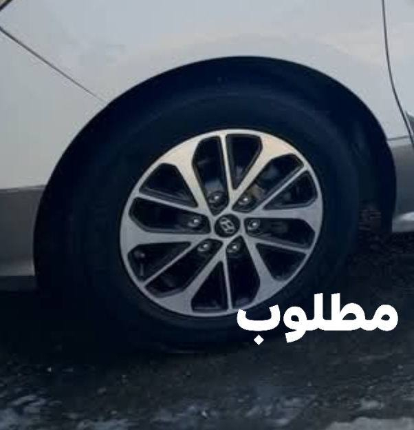 السلام عليكم عندي هذا الويل اريد مراوس بويل   Vip cmرقمي ***********
