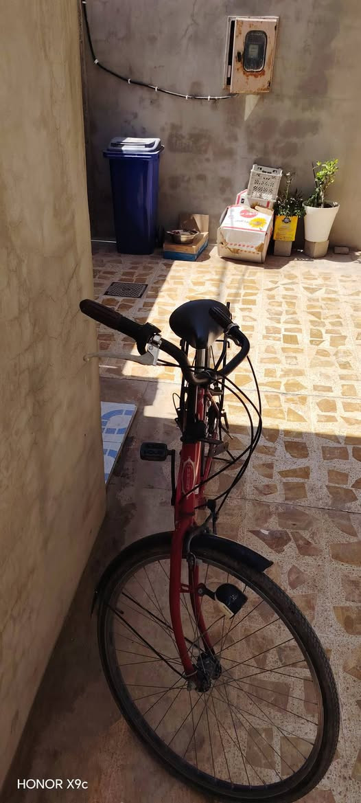 السلام عليكم بسكل للبيع حجم 26كمل من كل عطل فوول السعر 100وبيه مجال للطيبين


**إذا كنت صاحب هذا الإعلان وتريد حذفه لأي سبب، رجاءا أرسل رسالة إلى الدعم الفني**