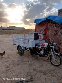 ستوتة • دلي عباس • 2023